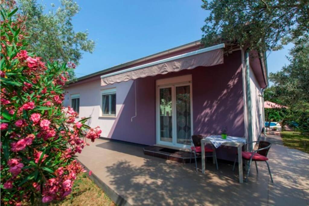 House Pelini Villa Pula Exterior photo